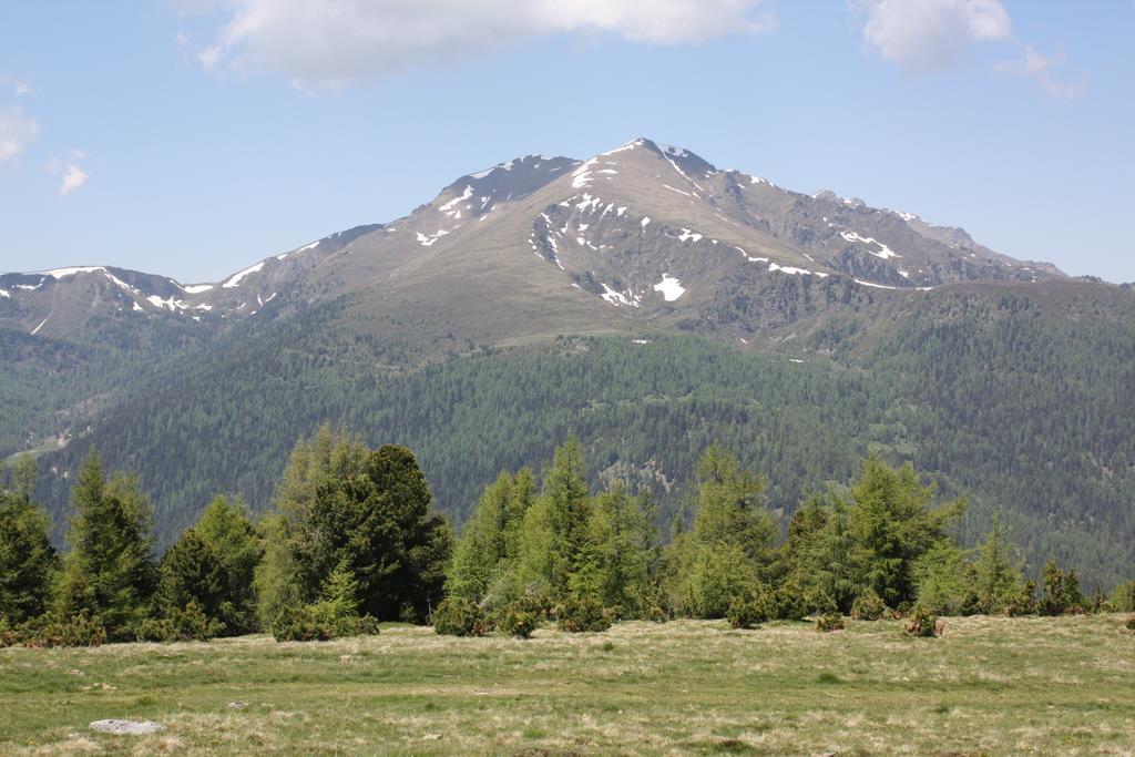 Chalet Hüttentraum Flattnitz